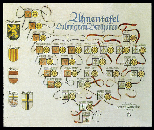 Family tree realized by Schmidt Görg...