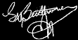 Ludwig van Beethoven's signature...