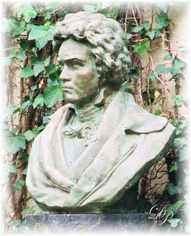 Beethoven by Niaoum Aronson