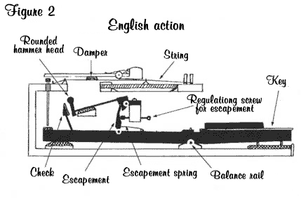 English Action